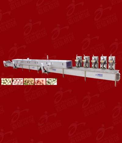 WLH-2-8 Meatball cooking cooling lines (boiled line)